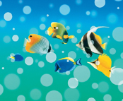 万码181225刘思萌